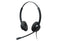 Dual Ear Noise Cancelling Headset